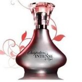 OUTSPOKEN INTENSE Colônia desod. 75 ml